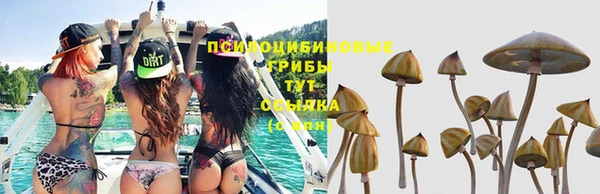 каннабис Володарск