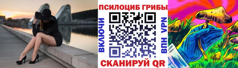 Псилоцибиновые грибы GOLDEN TEACHER  Оса 